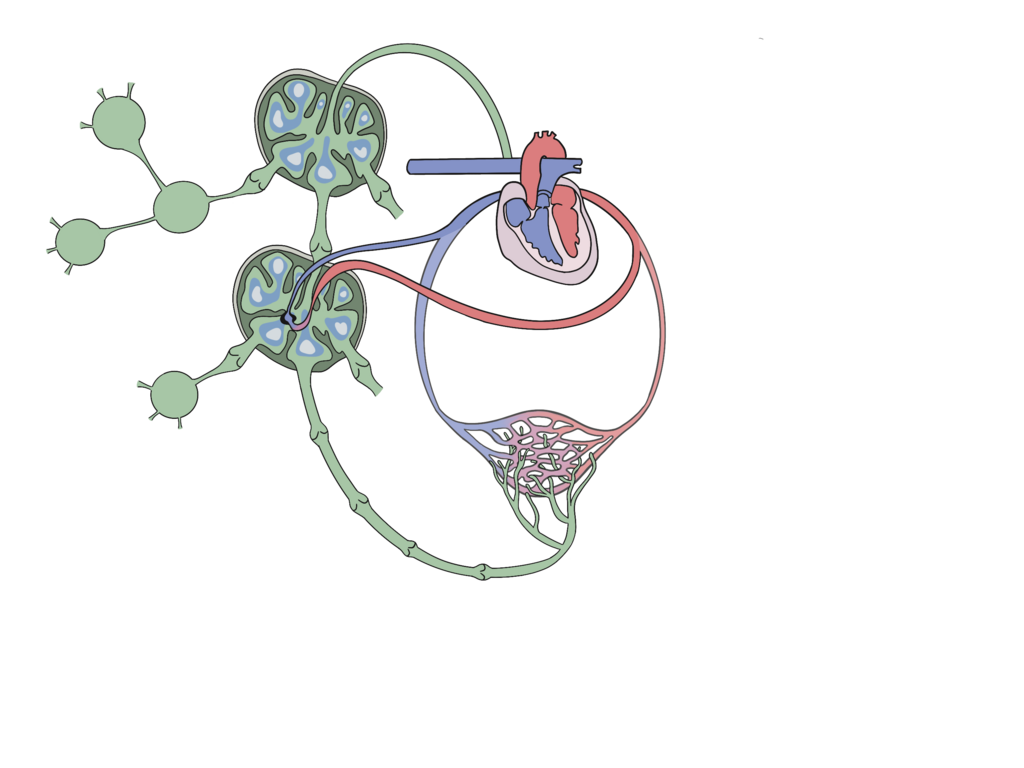Lesson image