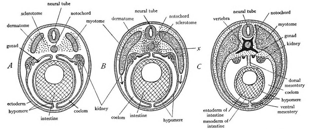 Lesson image