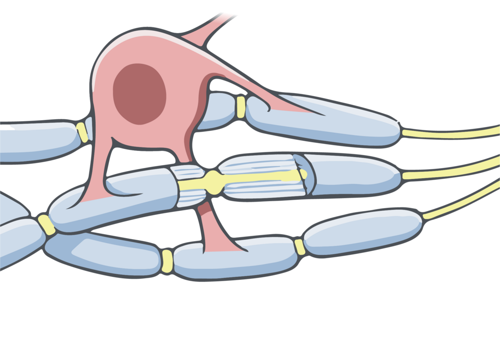 Lesson image