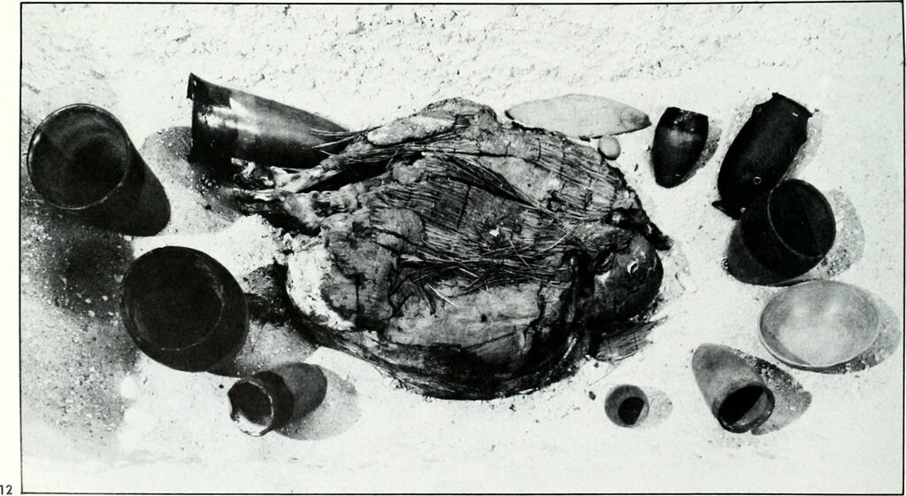 Lesson image