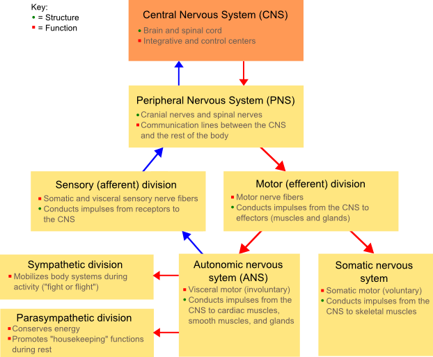 Lesson image