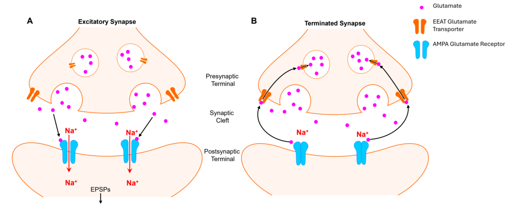 Lesson image