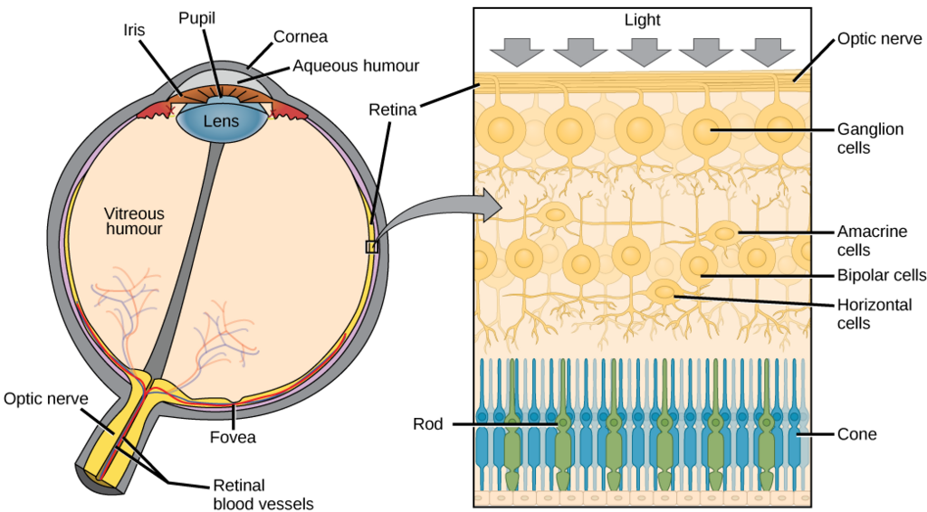 Lesson image