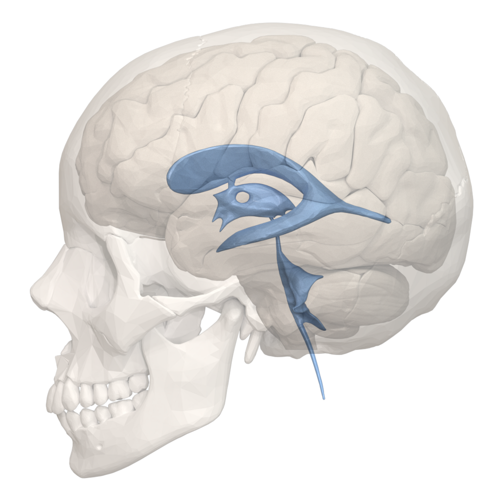 Lesson image