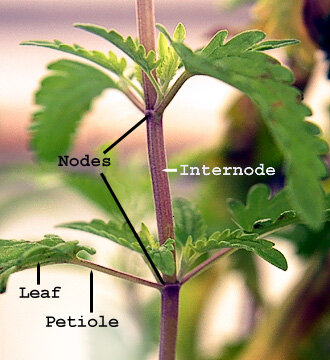 Lesson image