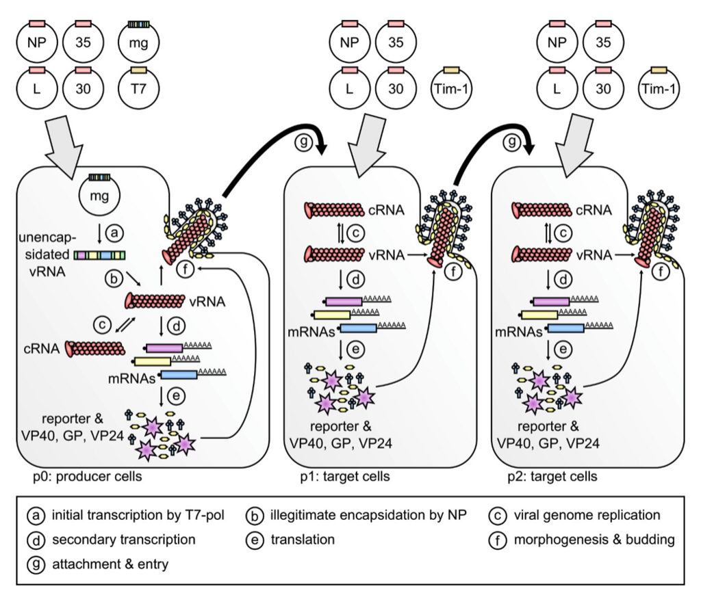 Lesson image