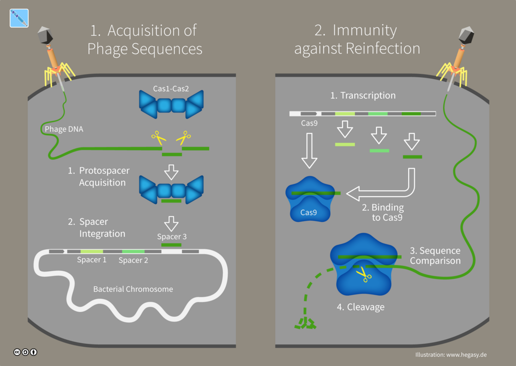 Lesson image