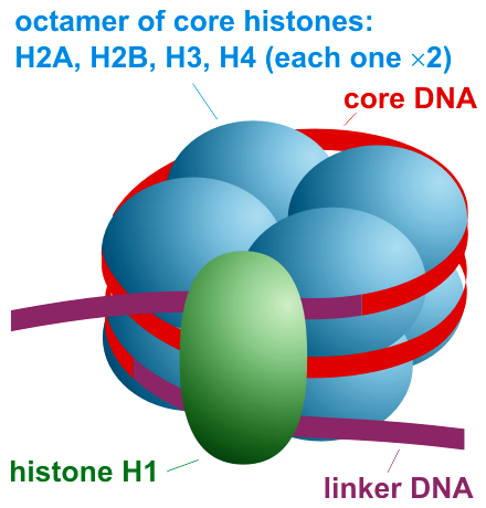 Lesson image