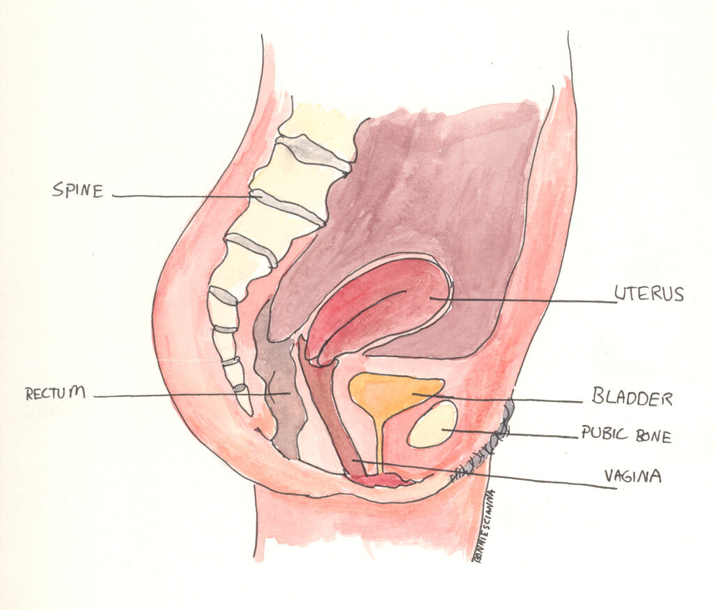 Lesson image