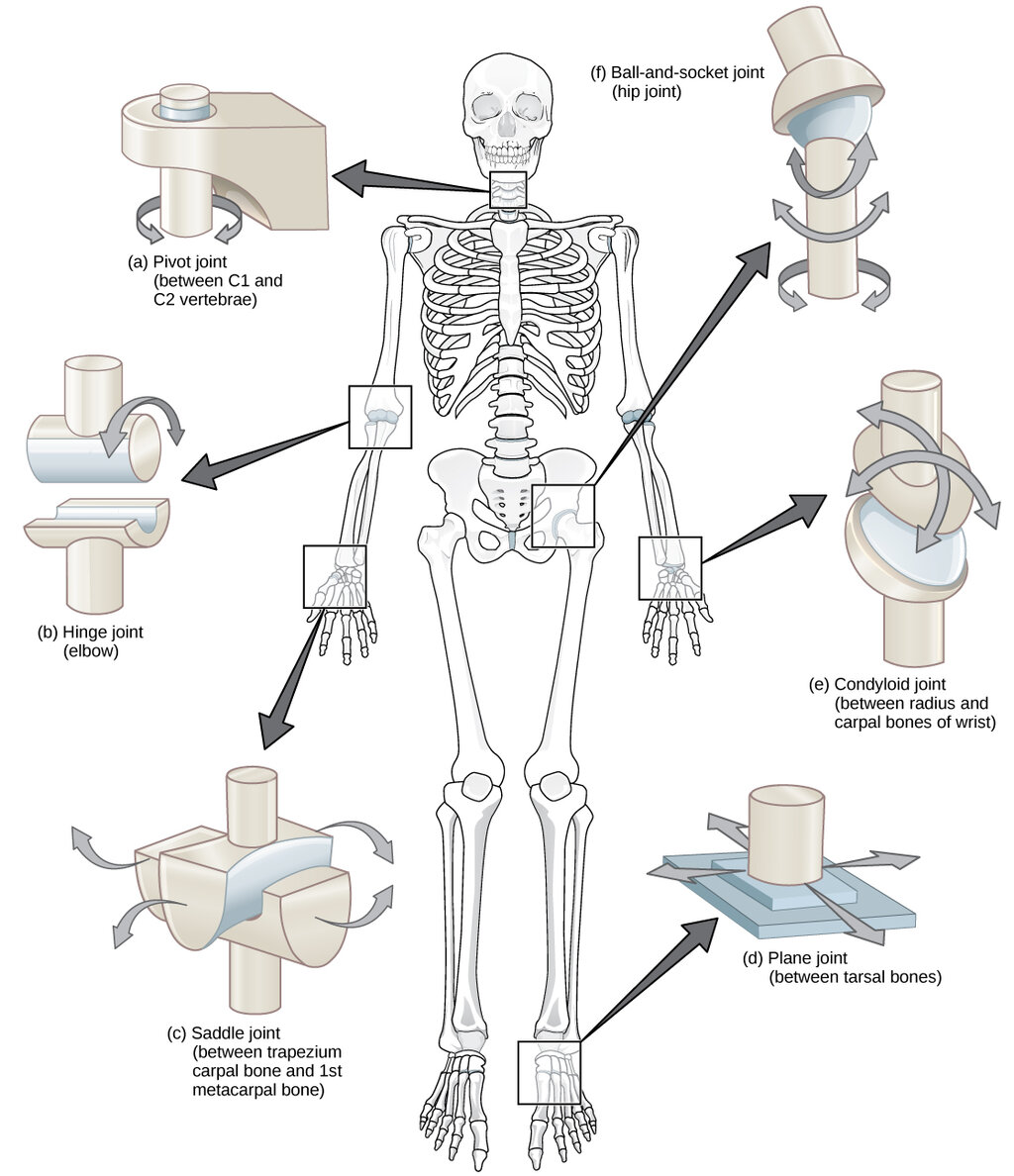 Lesson image