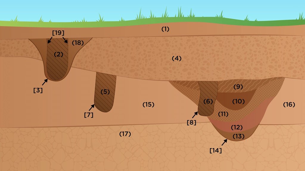 Lesson image