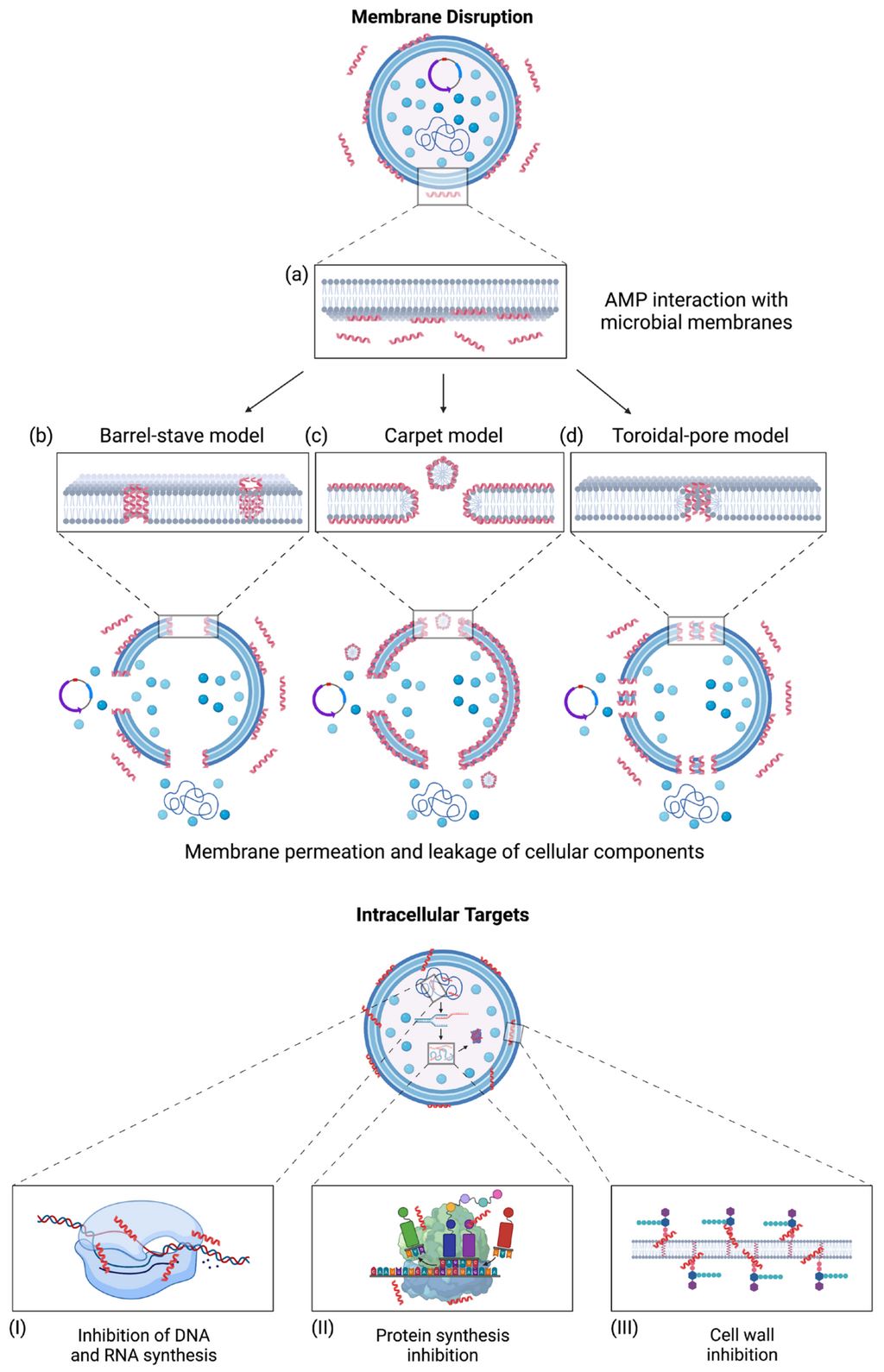 Lesson image
