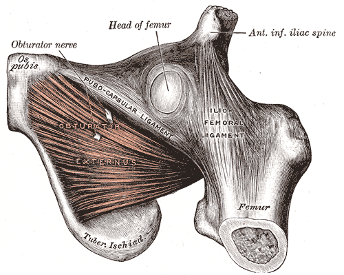 Lesson image