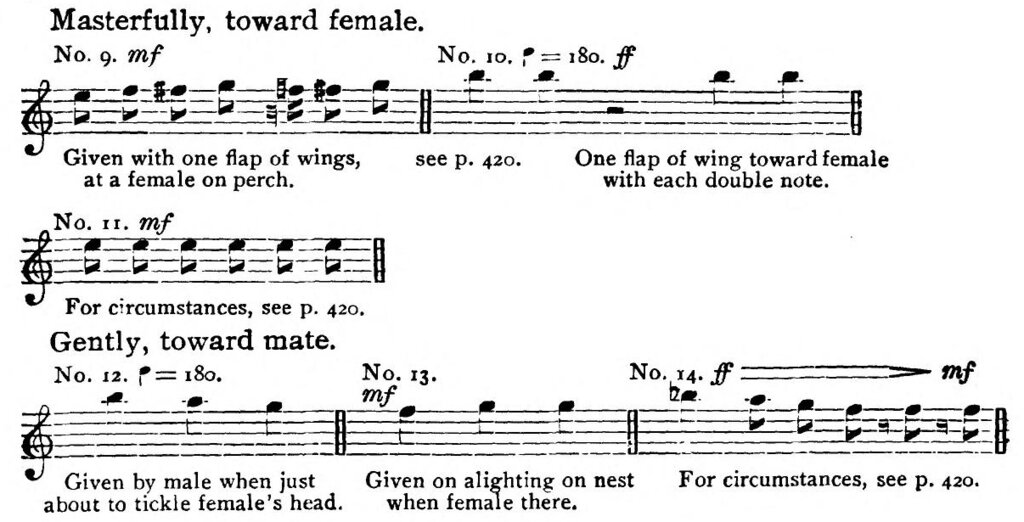 Lesson image