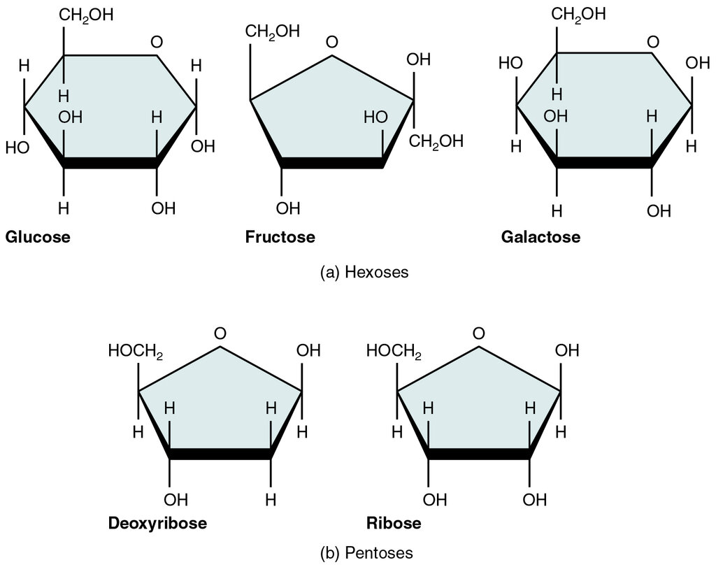 Lesson image