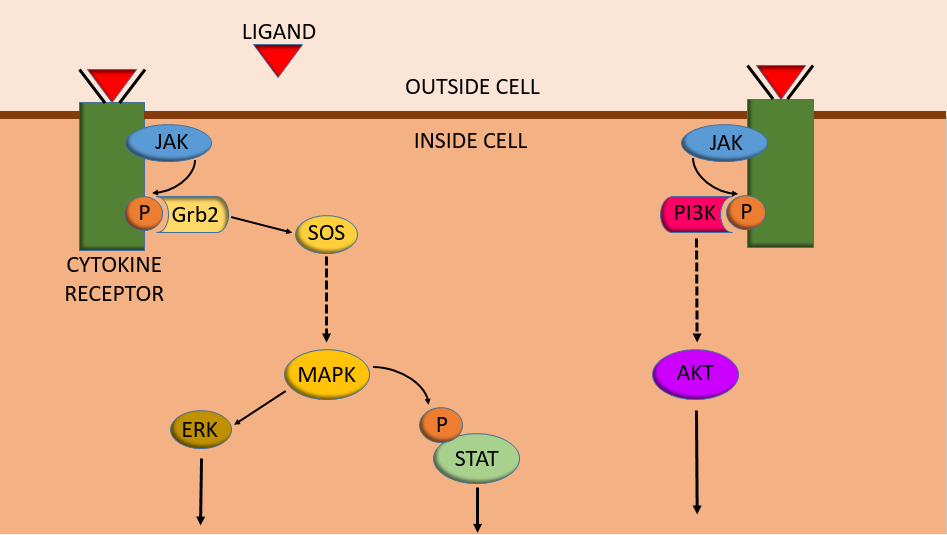 Lesson image