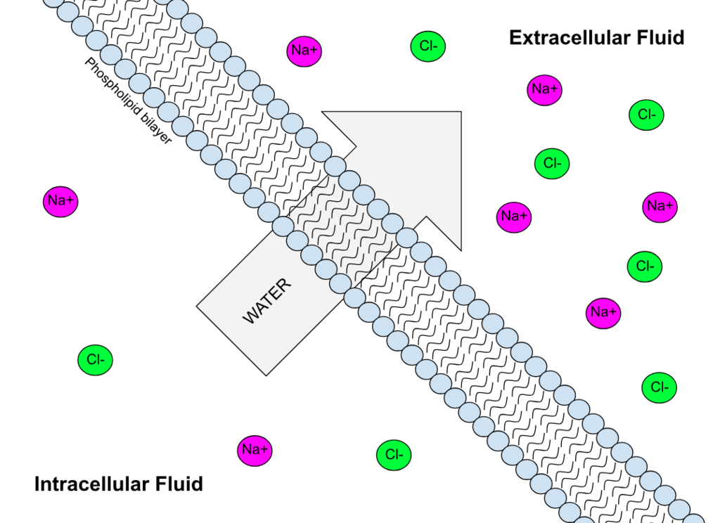 Lesson image