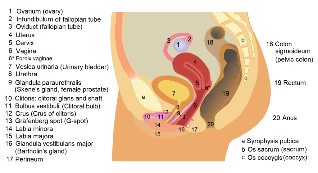 Lesson image