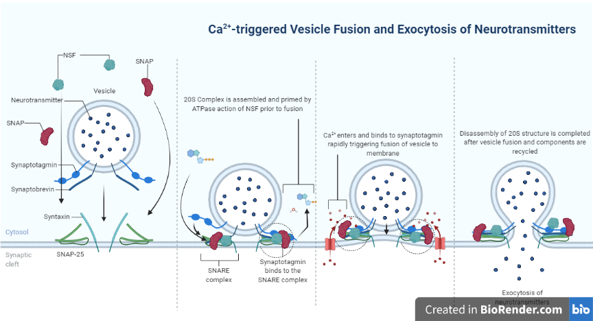Lesson image