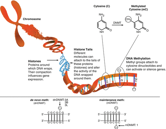 Lesson image