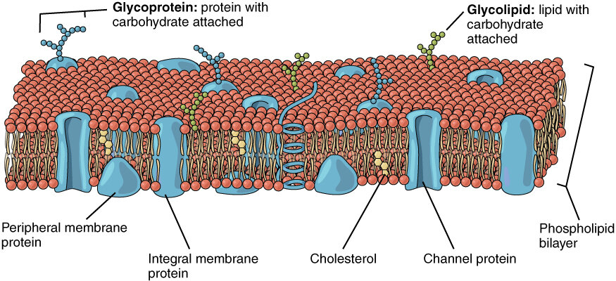 Lesson image