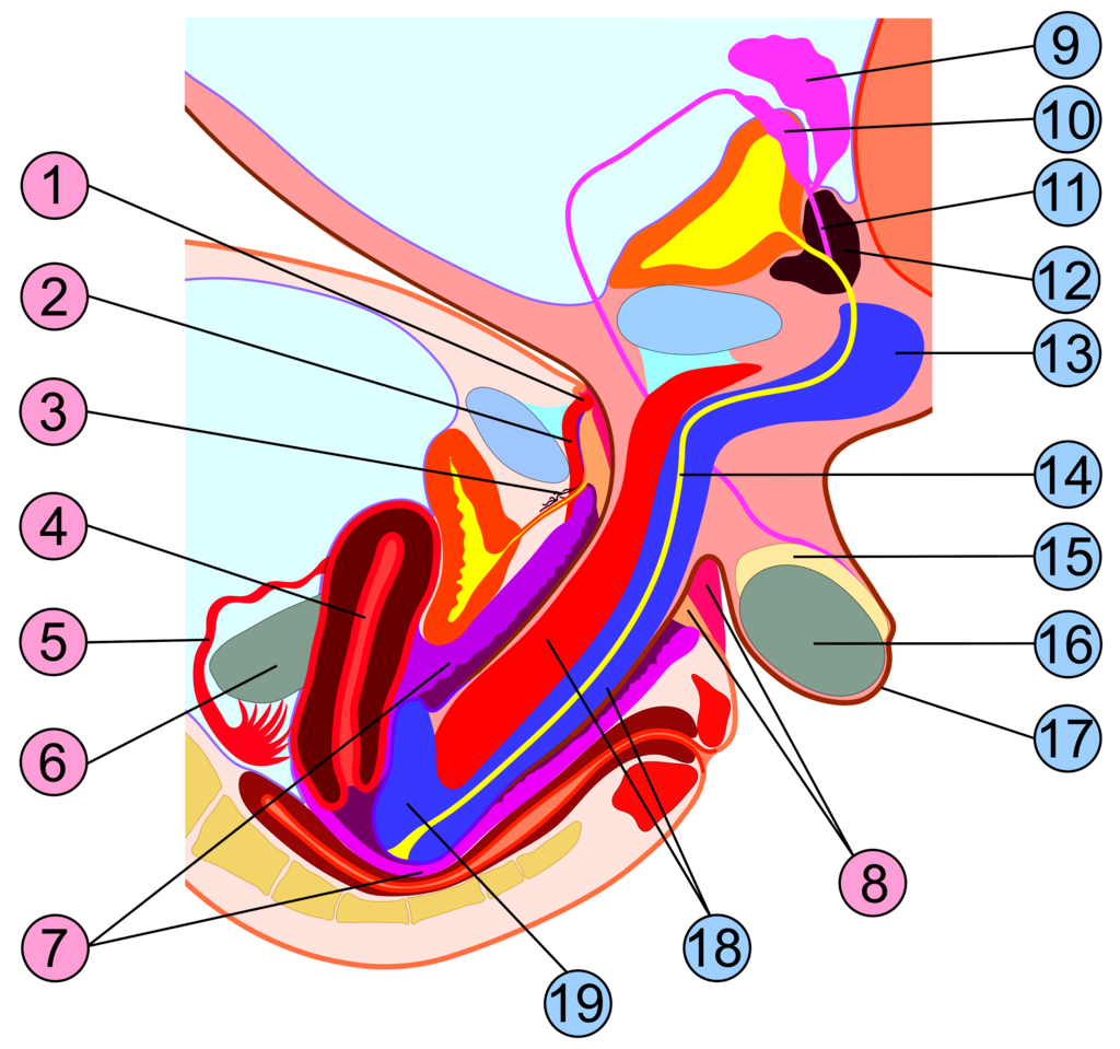 Lesson image