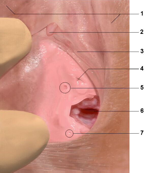 Lesson image