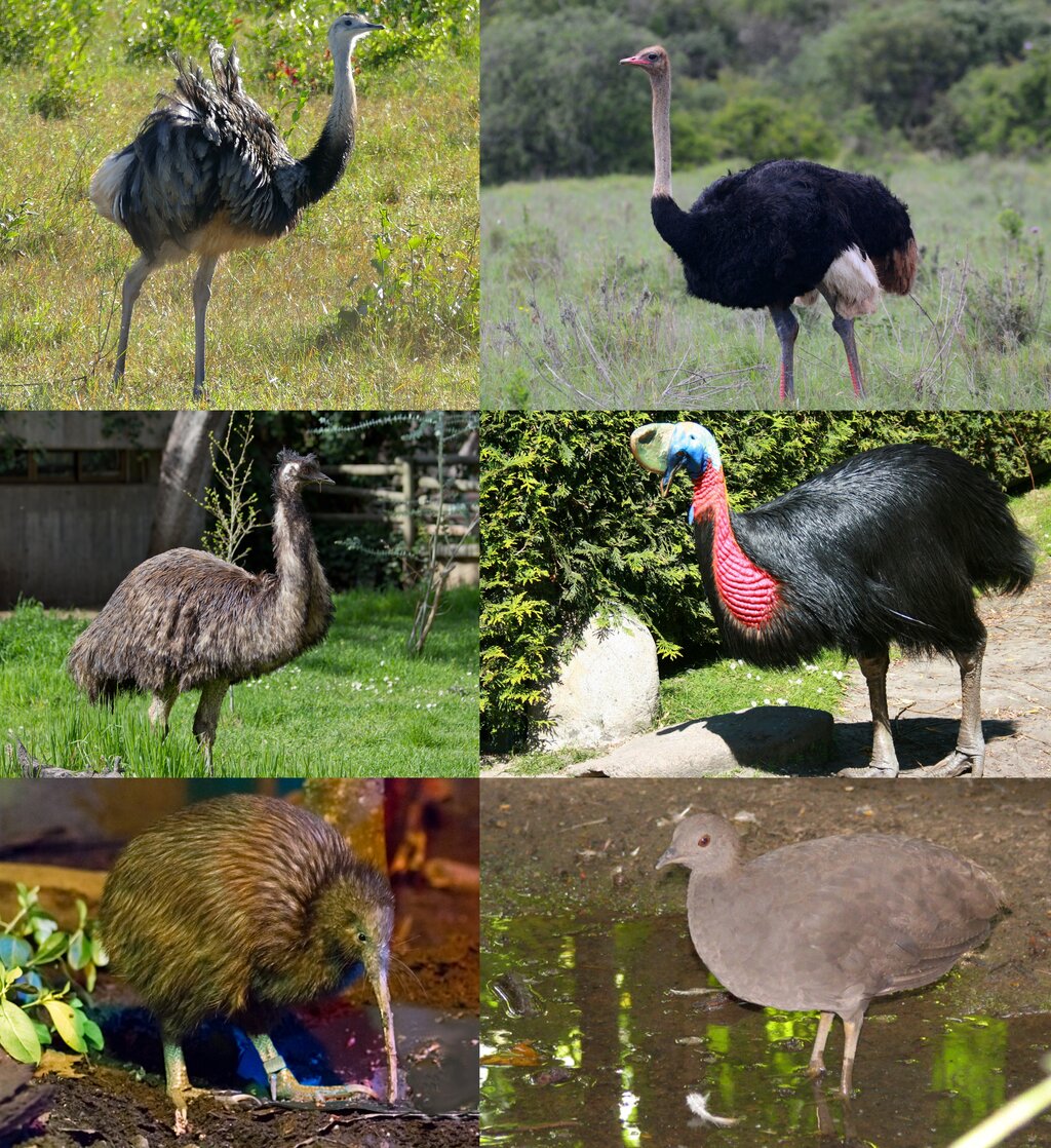 Lesson image