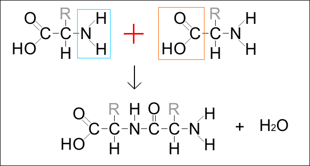 Lesson image