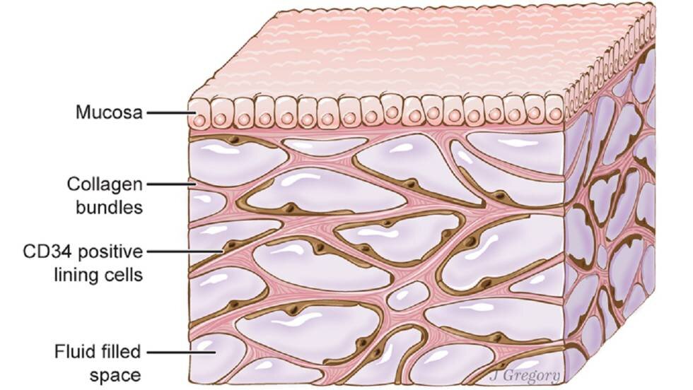 Lesson image