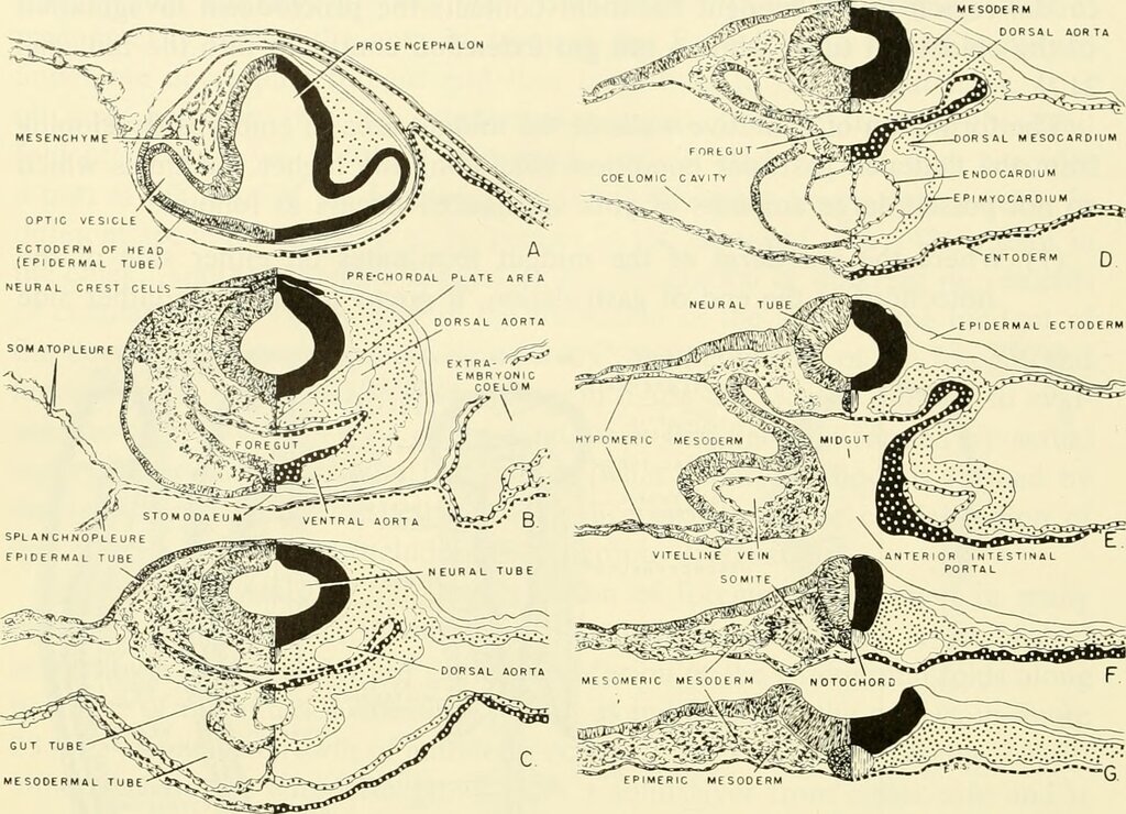 Lesson image