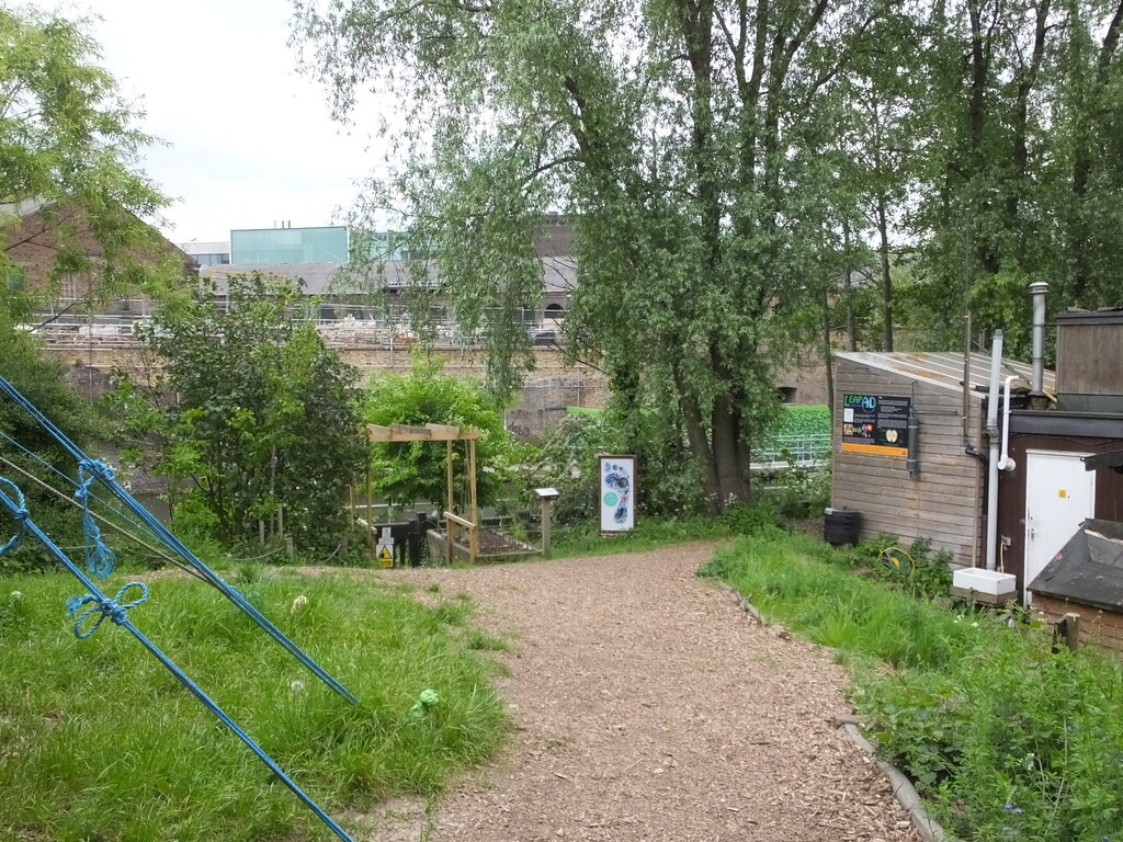 Lesson image
