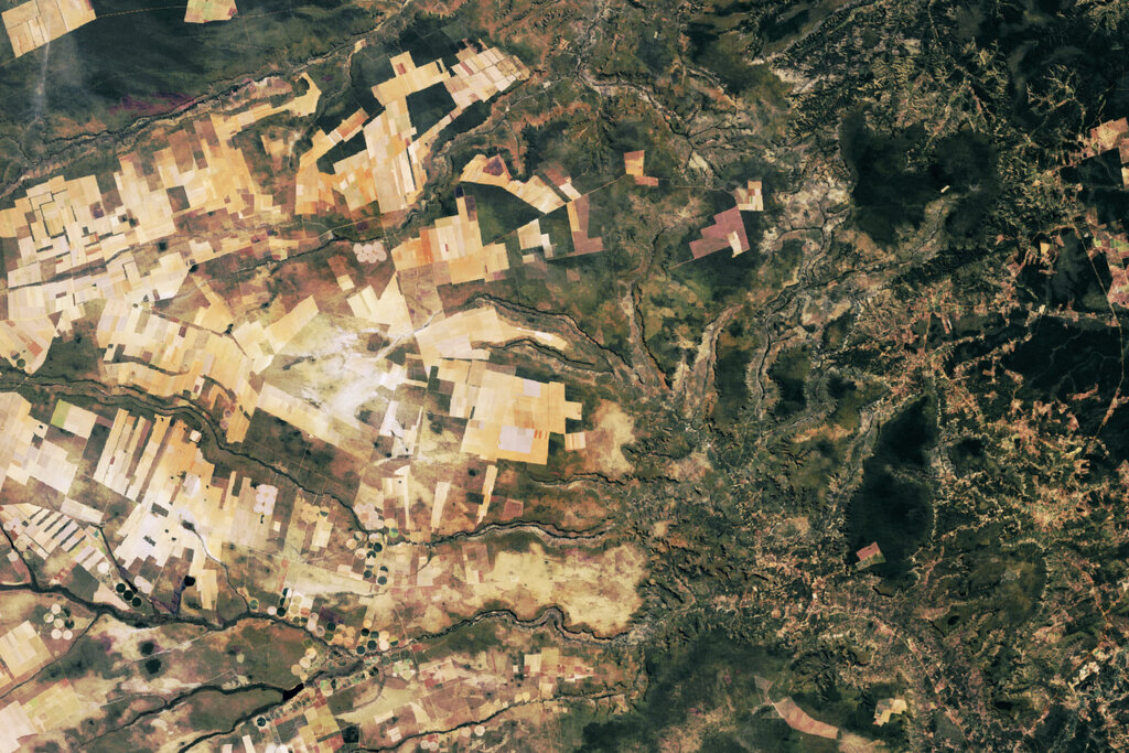 Lesson image