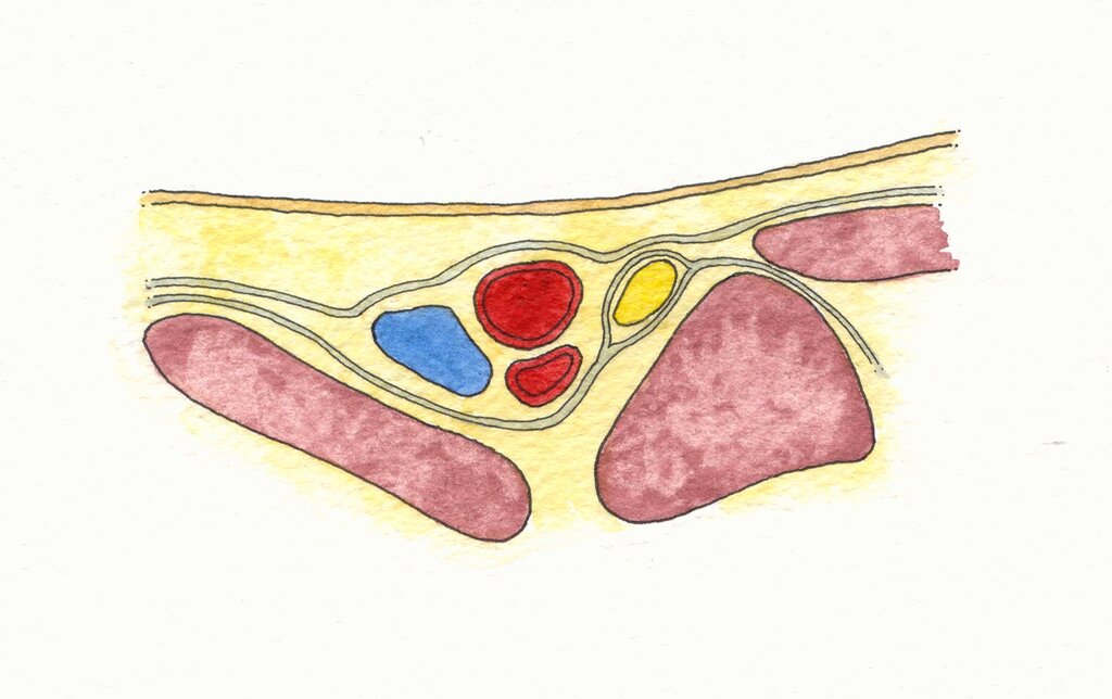 Lesson image
