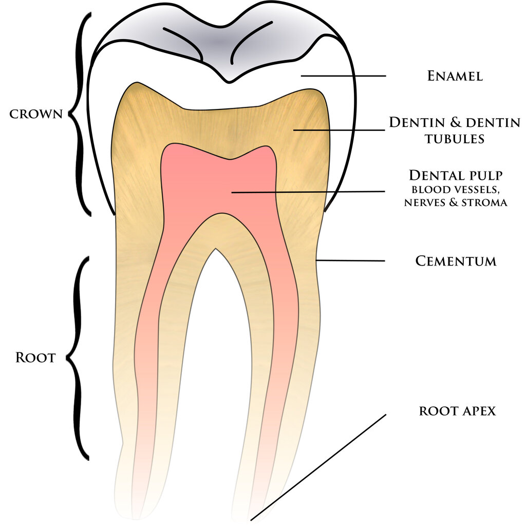 Lesson image