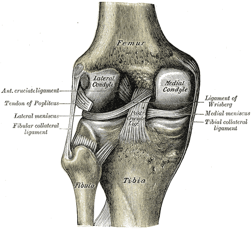Lesson image