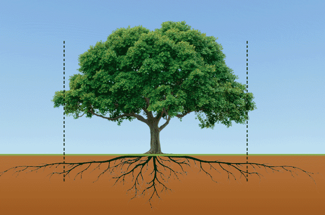 Lesson image