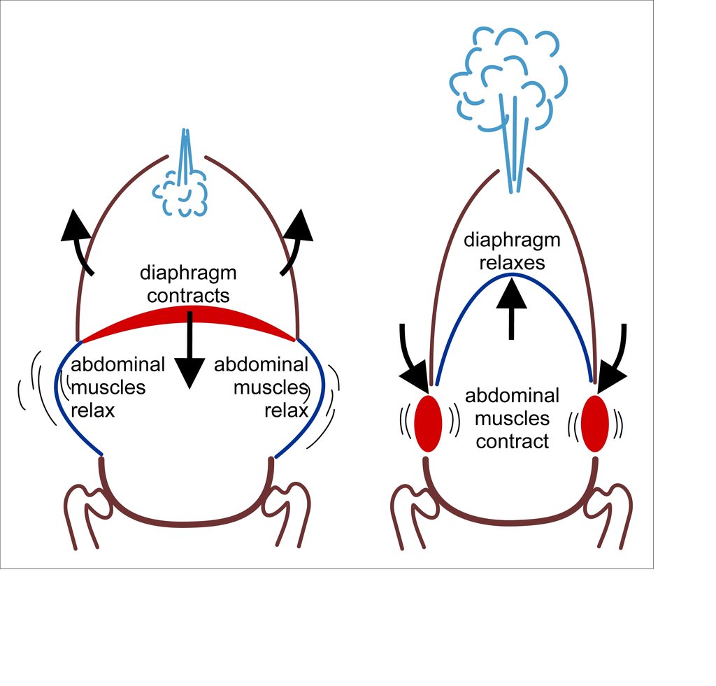 Lesson image