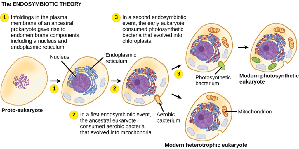Lesson image