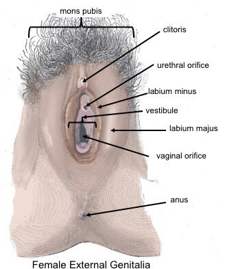 Lesson image