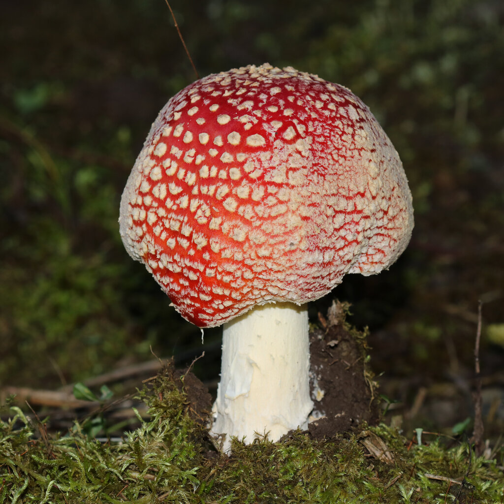 Lesson image