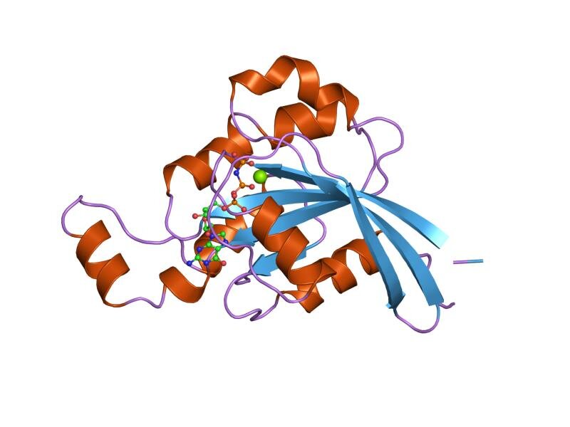 Lesson image