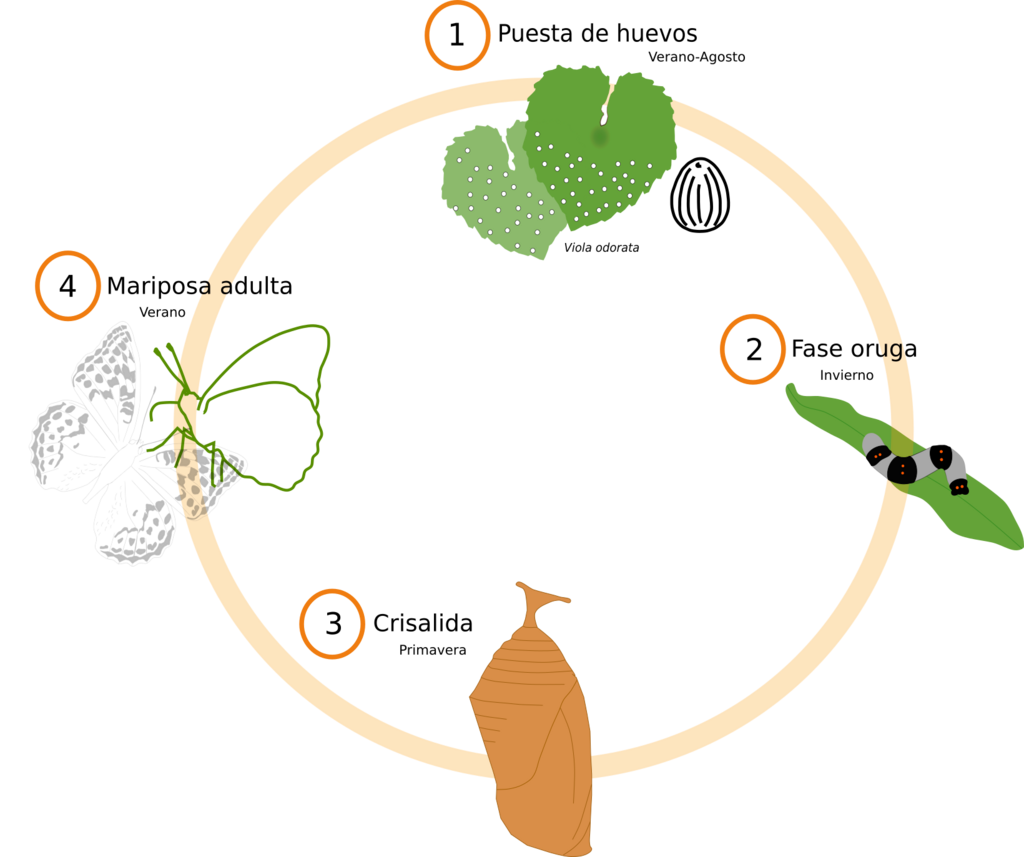 Lesson image