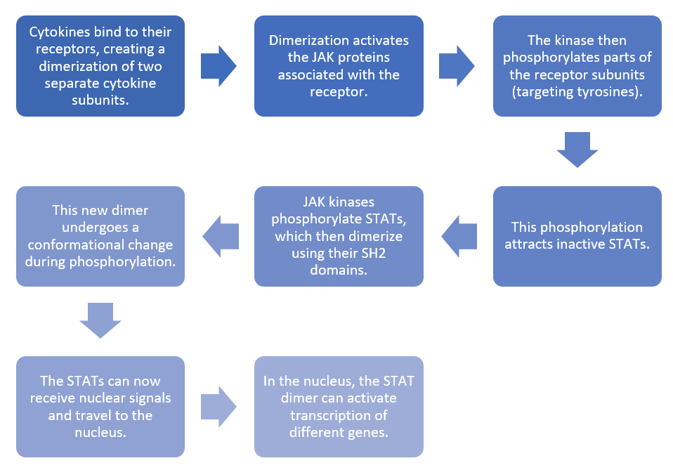 Lesson image