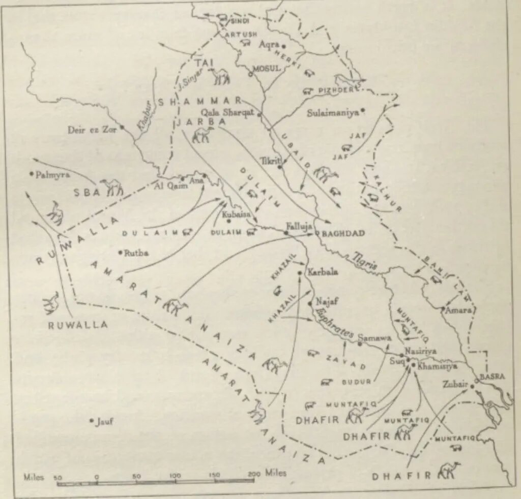 Lesson image