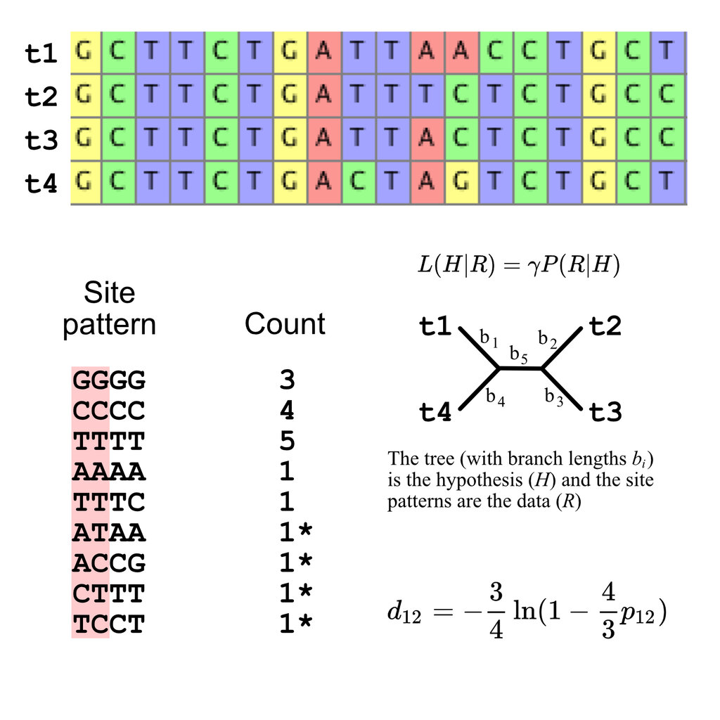 Lesson image