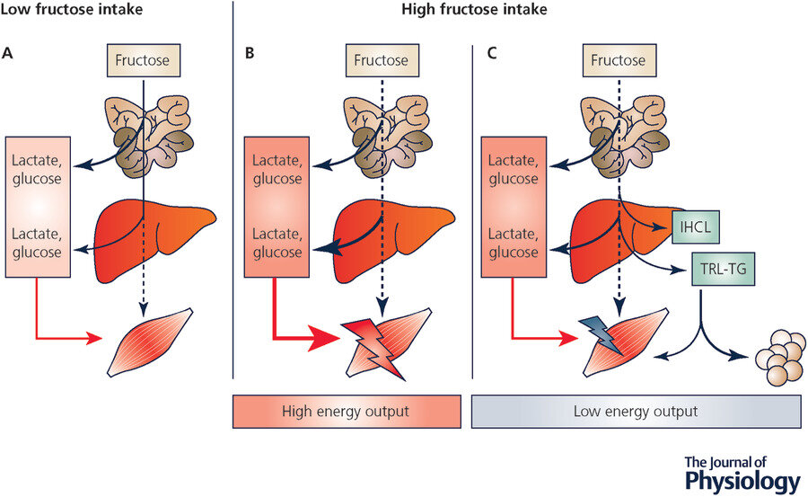 Lesson image