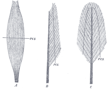 Lesson image