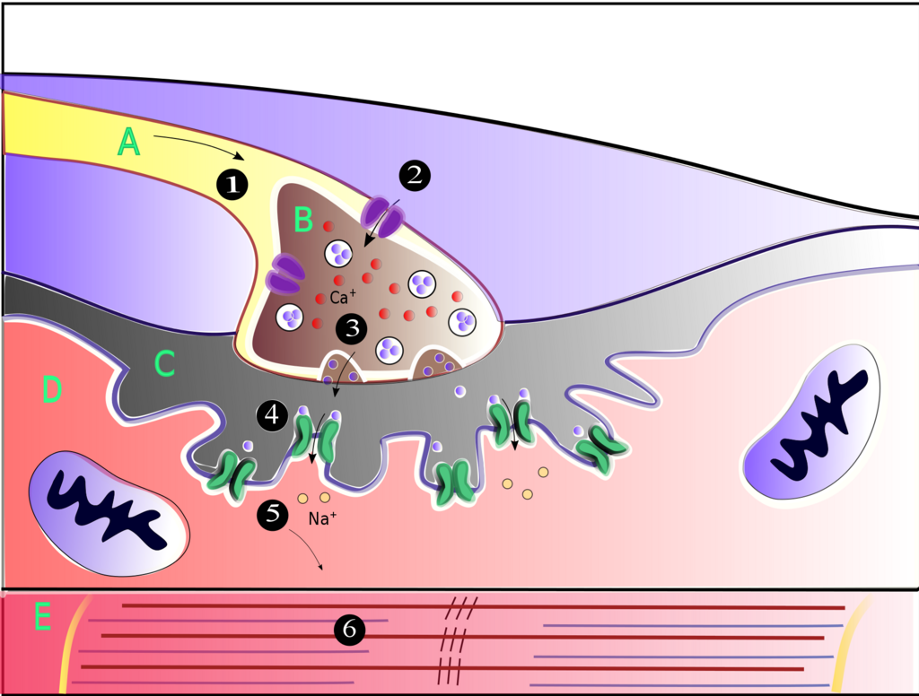 Lesson image
