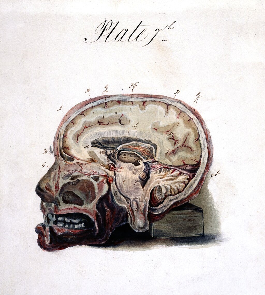 Lesson image